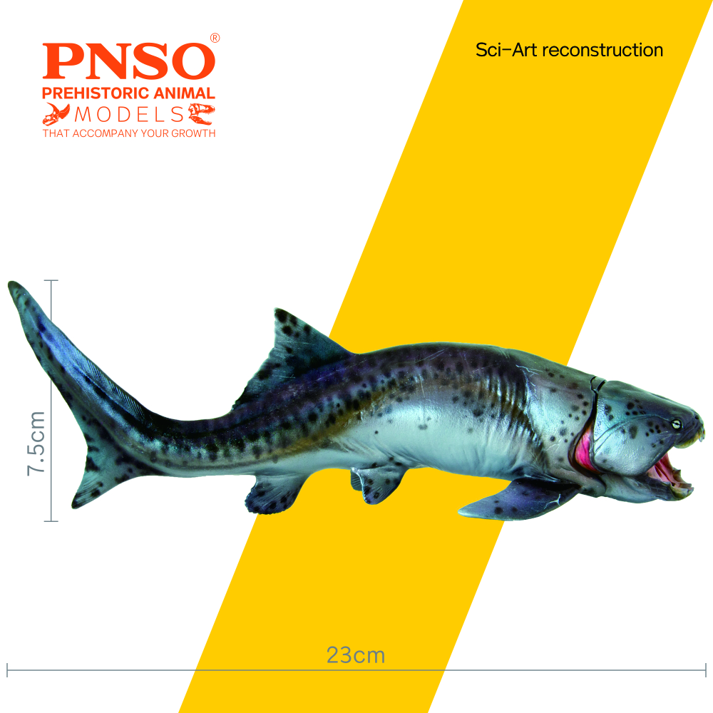 PNSO Prehistoric Dinosaur Mode - Model Kit Dinosaur recensione e prezzo