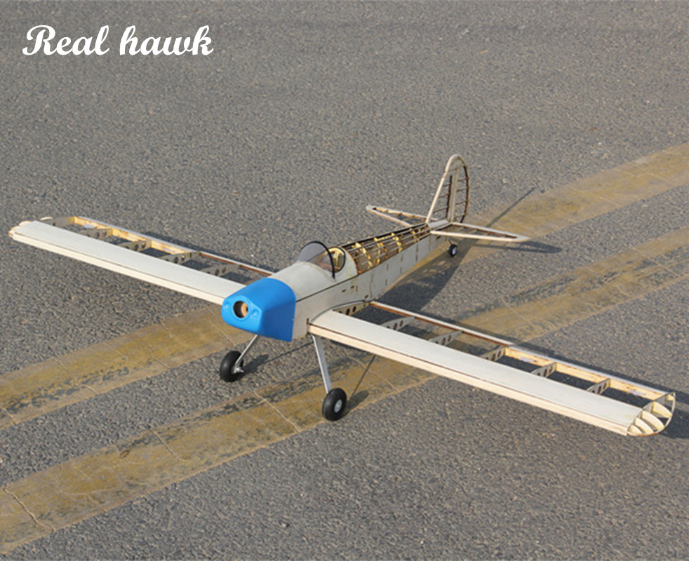 RC AirPlanes Laser Cut Balsa W - Model Kit Simulator recensione e prezzo