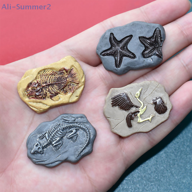 Mini Dinosaur Fossil Model Set - Model Kit Dinosaur recensione e prezzo