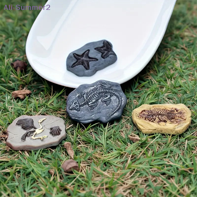 Mini Dinosaur Fossil Model Set - Model Kit Dinosaur recensione e prezzo