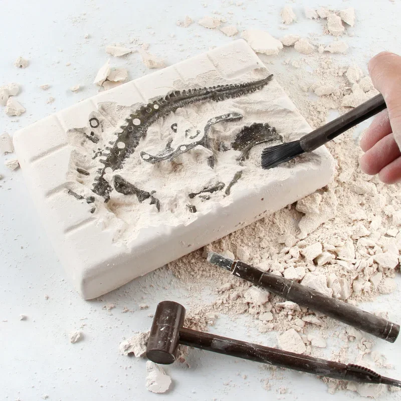 Dinosaur Excavation Fossil Arc - Model Kit Excavator recensione e prezzo