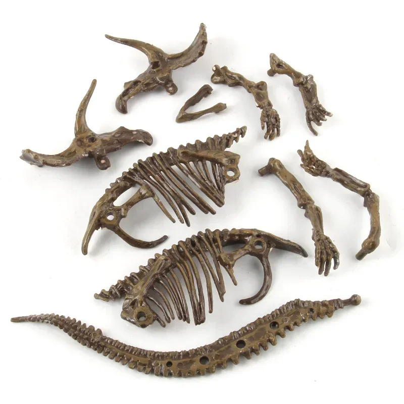 Dinosaur Excavation Fossil Arc - Model Kit Excavator recensione e prezzo