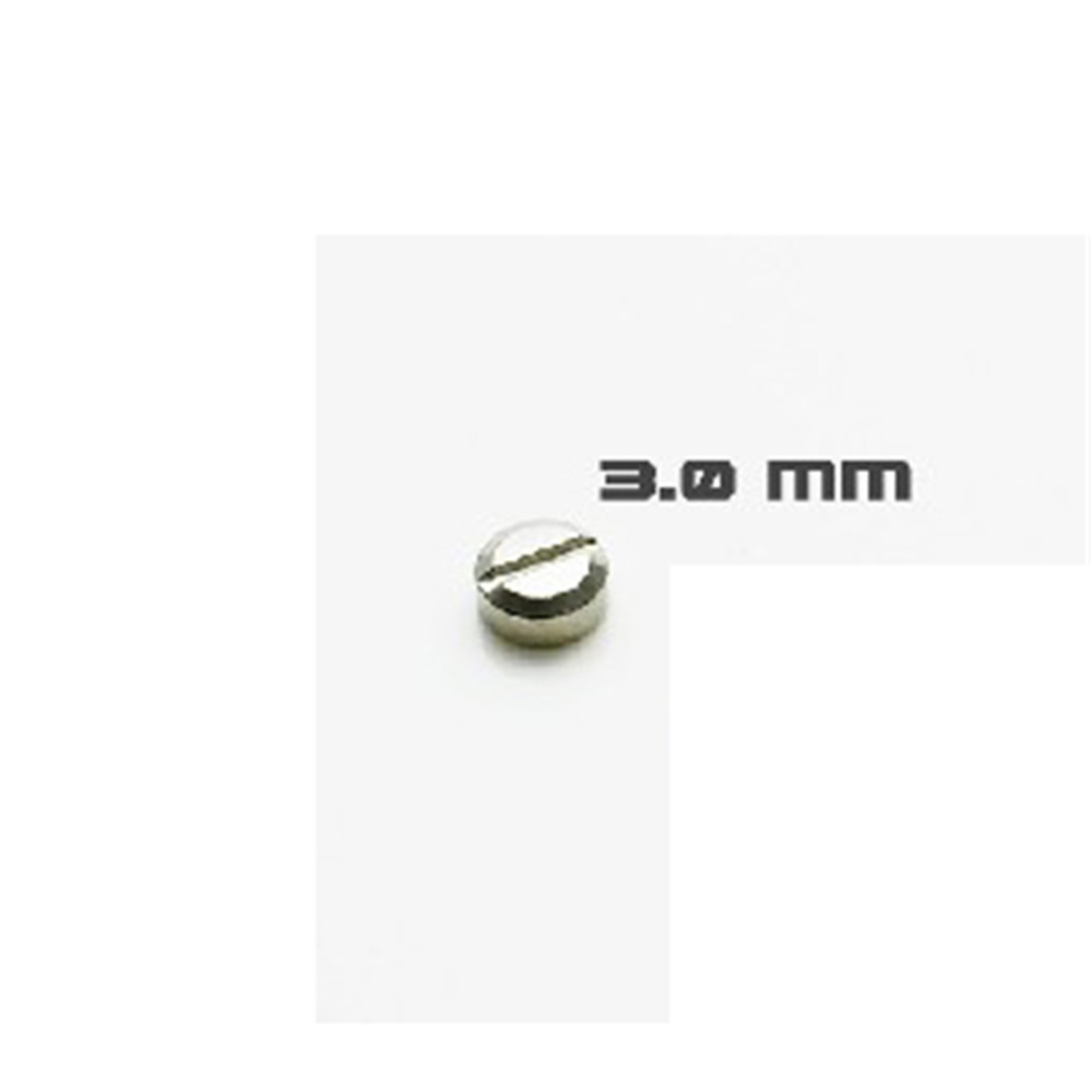 30pcs Armored Screws Model Sup - Gundam Model Mg recensione e prezzo