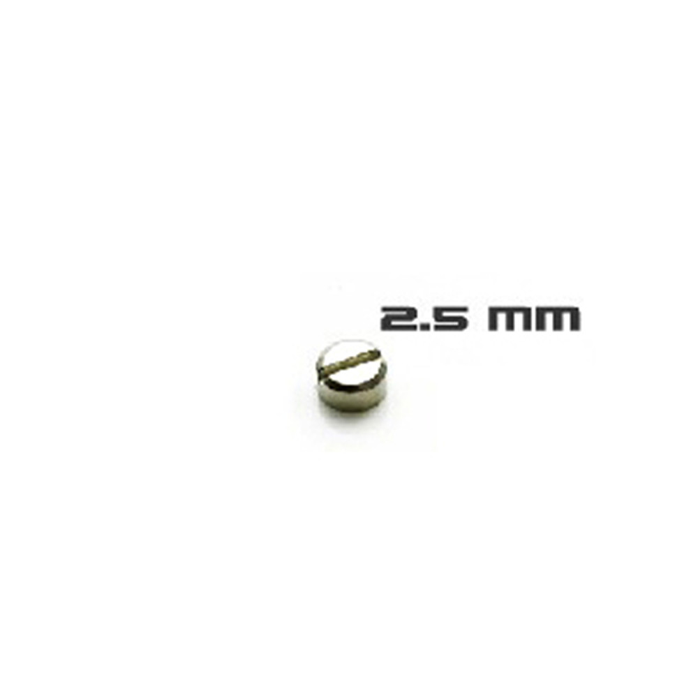 30pcs Armored Screws Model Sup - Gundam Model Mg recensione e prezzo
