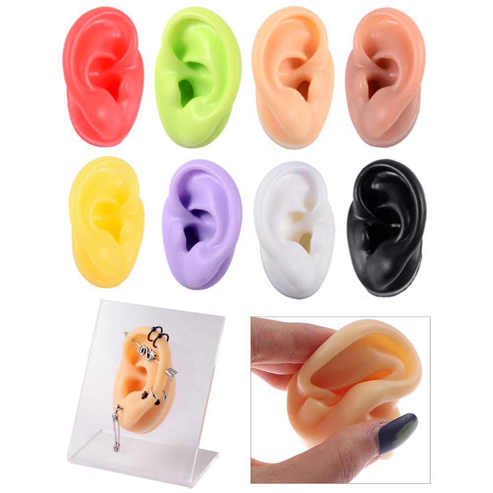 1Pc Soft Silicone Ear Model Ta - Model Kit Display Case recensione e prezzo