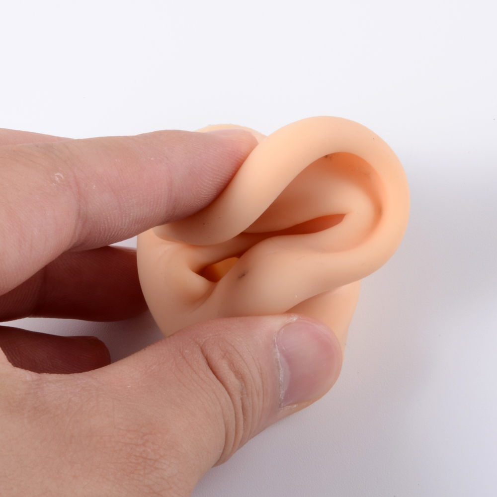 1Pc Soft Silicone Ear Model Ta - Model Kit Display Case recensione e prezzo