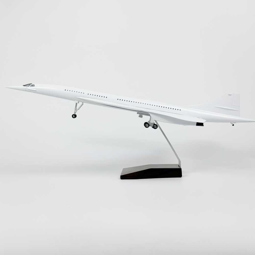 47CM Blank White DIY Airplane  - Model Kit Plane recensione e prezzo